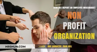 Addressing Employee Misconduct in Non-Profit Organizations: A Guide