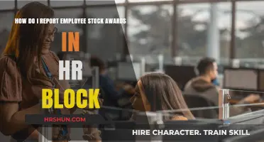 Navigating Employee Stock Awards: A Step-by-Step Guide for HR Block Reporting