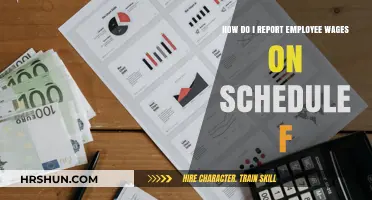 Accurately Reporting Employee Wages on Schedule F: A Guide