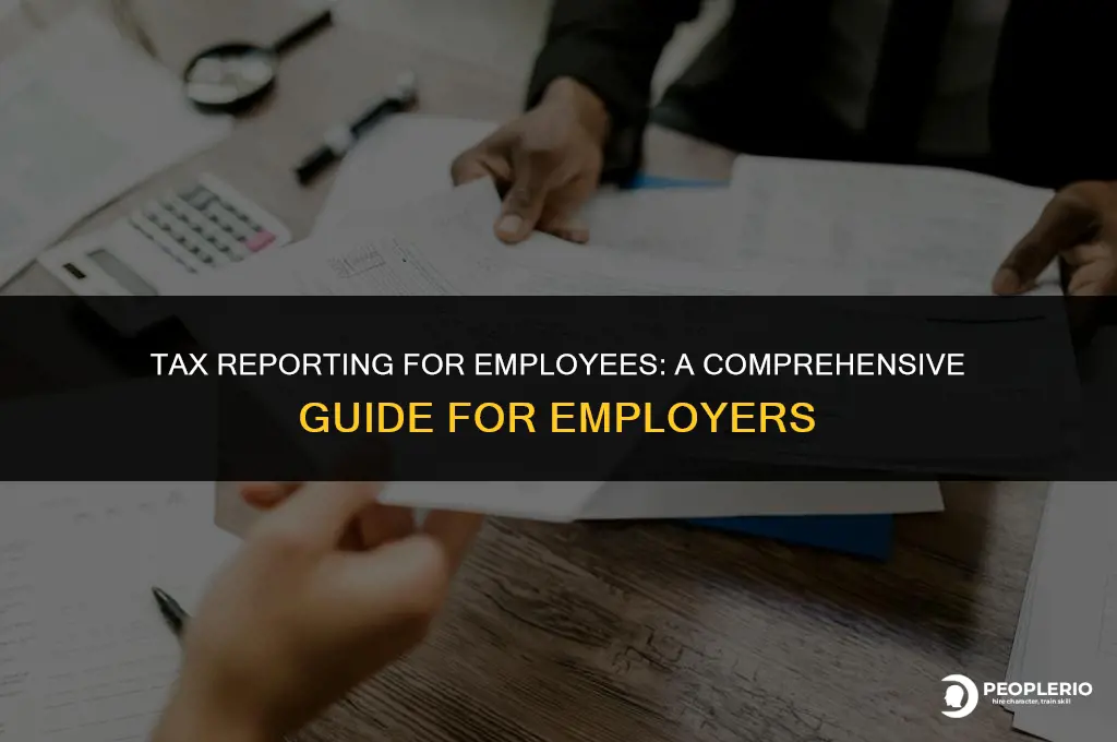 how do i report having an employee on taxes