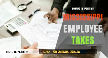 Mississippi Employee Tax Reporting: A Step-by-Step Guide