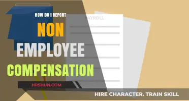 Reporting Non-Employee Compensation: A Comprehensive Guide