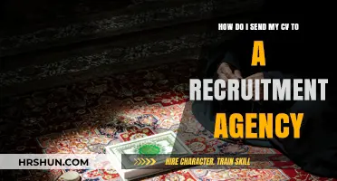 Maximizing Your Chances: How to Send Your CV to a Recruitment Agency