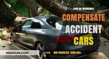 Decoding Auto Insurance: How Accident Compensation Works