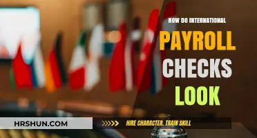 Decoding International Payroll Checks: A Visual Guide