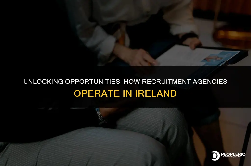 how do recruitment agencies work ireland