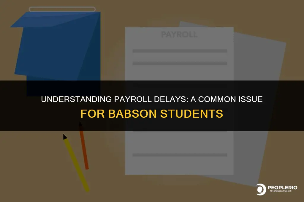 how do students normally dont get their payroll check babson