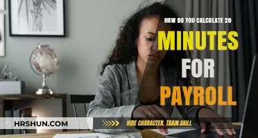 Calculating Payroll Minutes: A Quick 20-Minute Guide