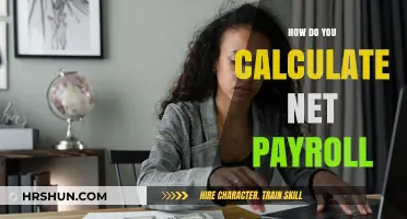 Mastering Payroll: A Step-by-Step Guide to Calculating Net Pay