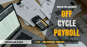 Mastering Off-Cycle Payroll: A Step-by-Step Guide