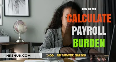 Calculating Payroll Burden: A Comprehensive Guide for Employers