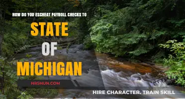 Unclaimed Payroll Checks: How to Escheat to Michigan State