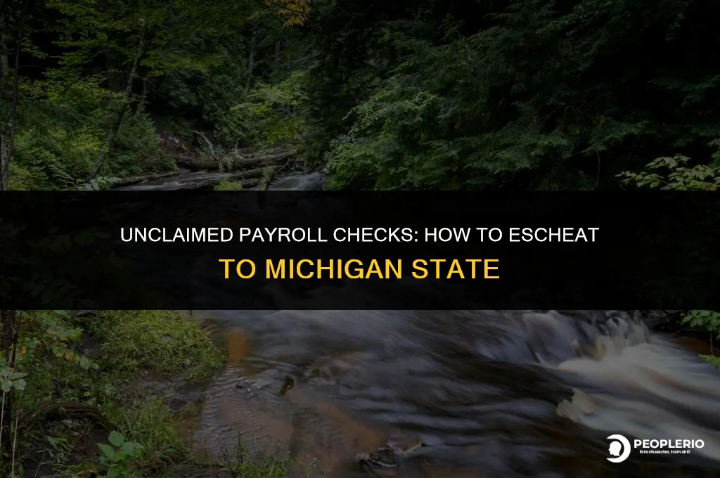 how do you escheat payroll checks to state of michigan