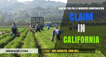 Filing a Workers' Compensation Claim in California: A Step-by-Step Guide