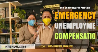 Navigating Pandemic Unemployment: A Guide to Filing for Emergency Compensation