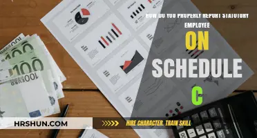 Essential Guide to Reporting Statutory Employees on Schedule C