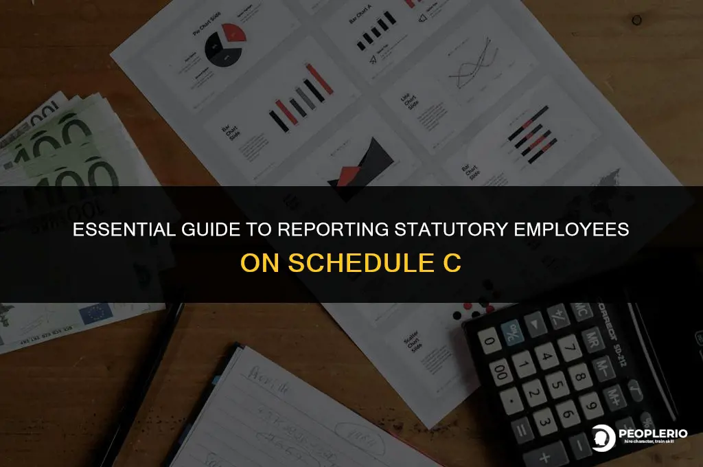 how do you properly report statutory employee on schedule c