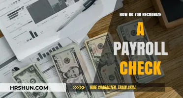 Decoding Payroll Checks: A Simple Guide to Spotting the Essentials
