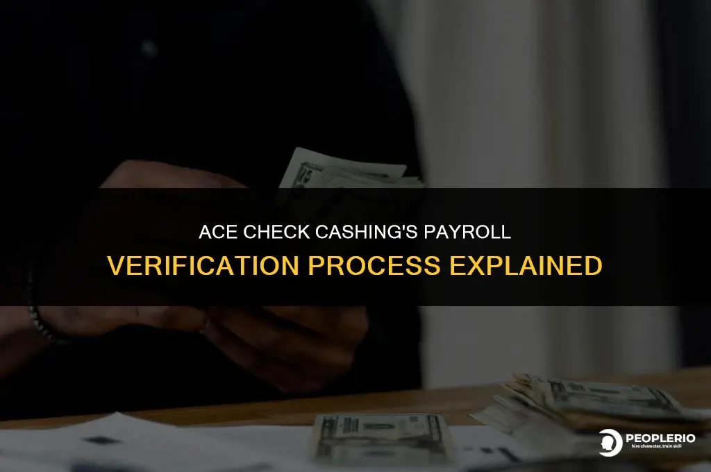 how does ace check cashing verify payroll checks
