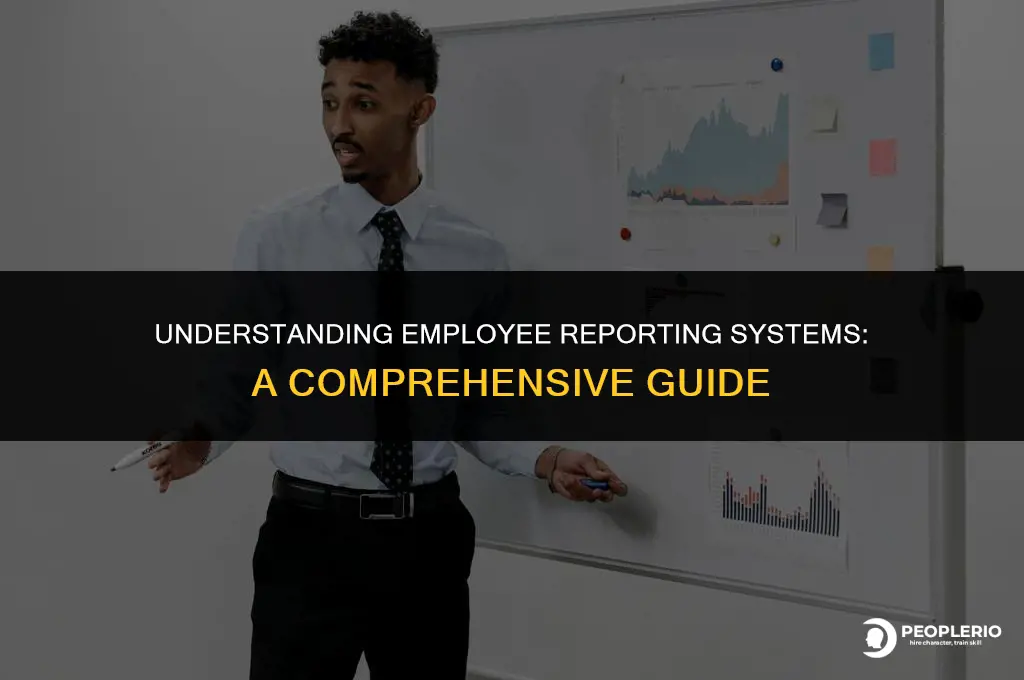 how does an employee reporting system function