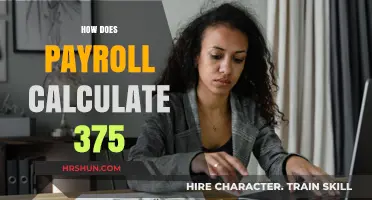 Understanding Payroll Calculations: A Guide to Processing 375 Hours