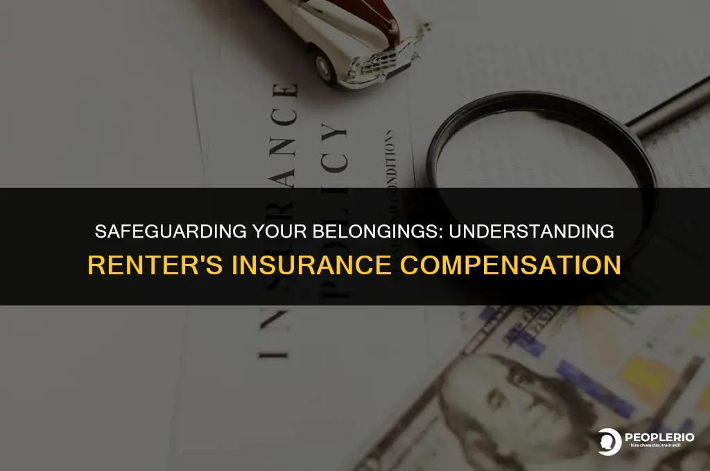 how does renter