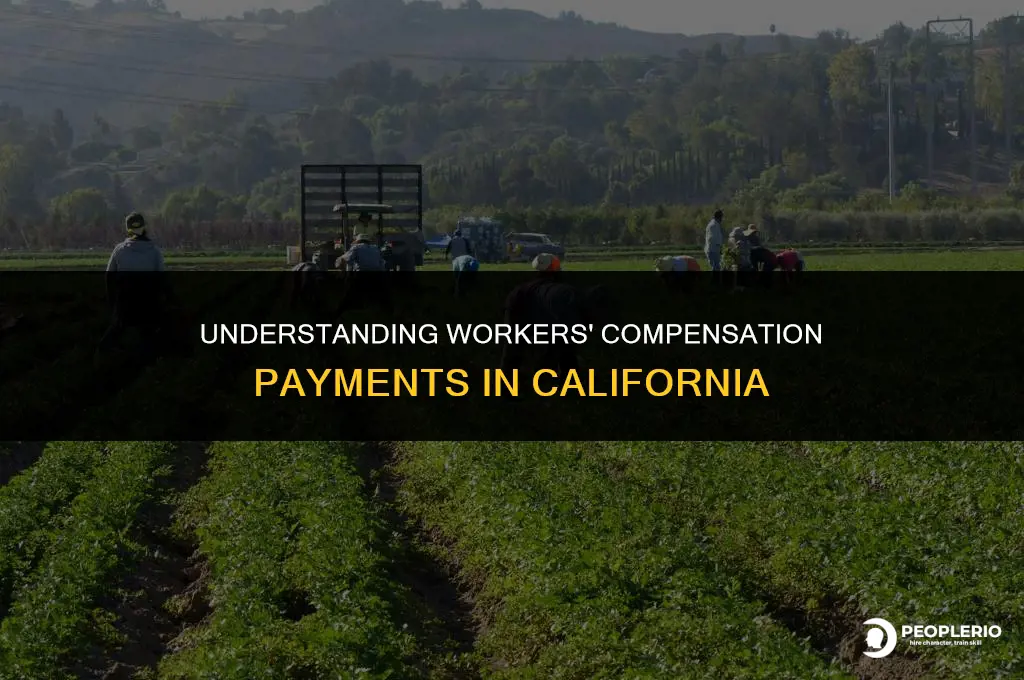how does workers compensation pay in California