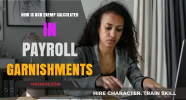 Understanding Non-Exempt Calculations in Payroll Garnishments