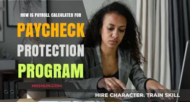 Understanding Payroll Calculations for Paycheck Protection Program