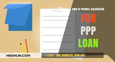 Understanding Payroll Calculations for PPP Loans: A Comprehensive Guide