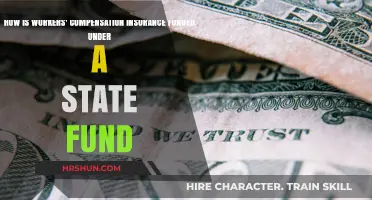 Understanding Workers' Compensation Insurance Funding: A State Fund Overview