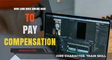 Understanding Airline Compensation Timelines: A Passenger's Guide