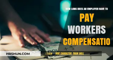 Understanding Workers' Compensation Payment Timelines for Employers