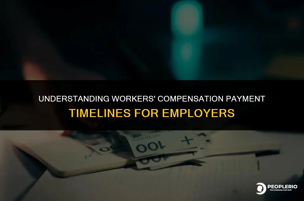 how long does an employer have to pay workers compensation