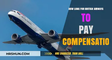 British Airways Compensation Payout Timeline: What to Expect