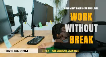 Understanding Labor Laws: Employee Work Hours and Break Entitlements
