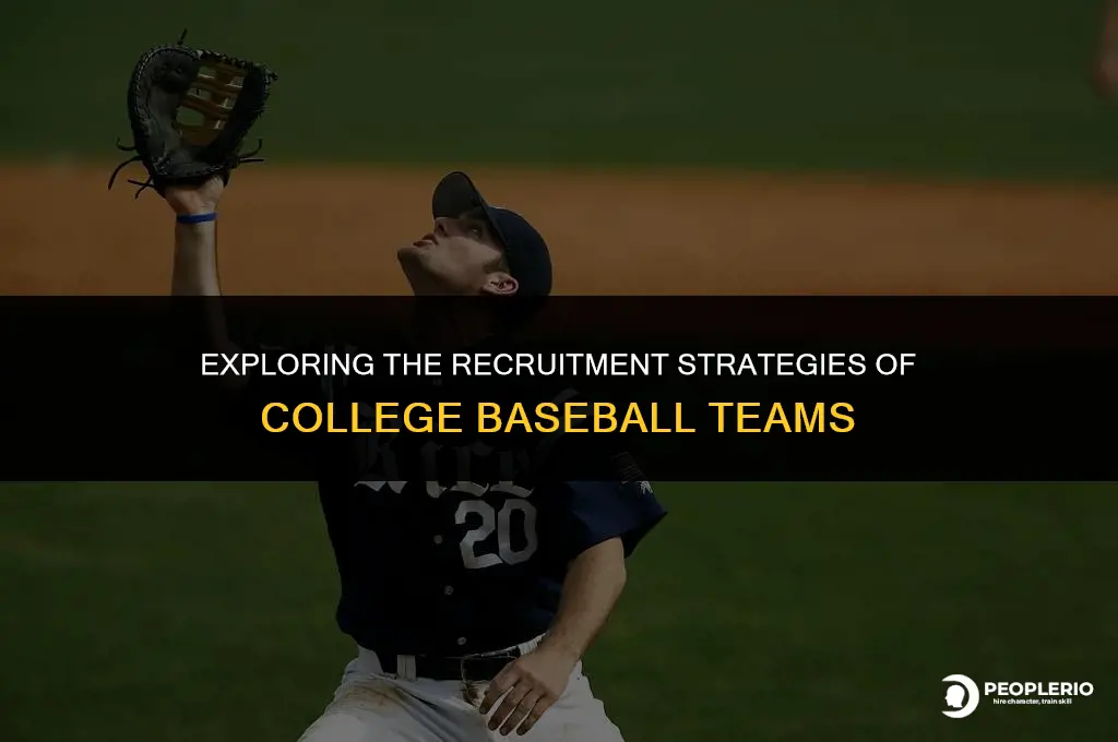 how many playser do college baseball teams recruit