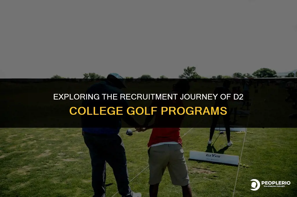 how many recruiting trips does d2 college golf attend