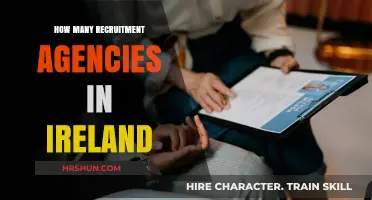 Exploring the Recruitment Landscape: Agencies in Ireland Uncovered