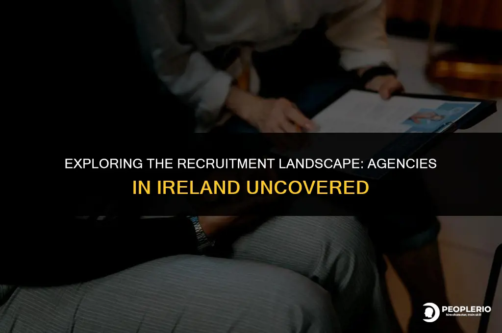 how many recruitment agencies in ireland