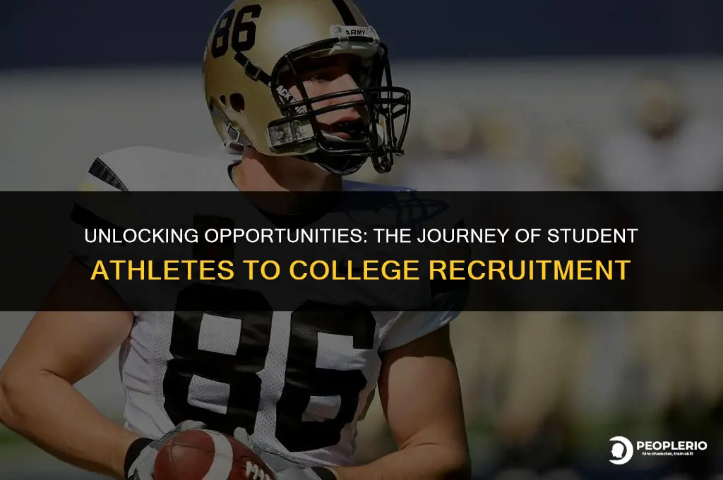 how many student athletes get recruited to play in college