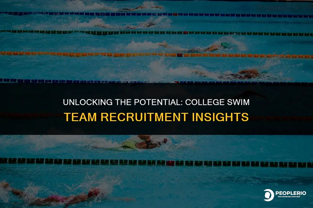 how many swimmers do colleges recruit