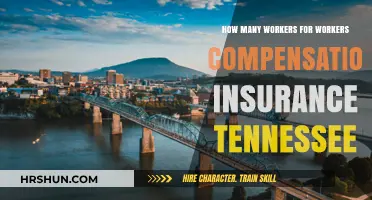 Understanding Workers' Compensation Insurance Requirements in Tennessee