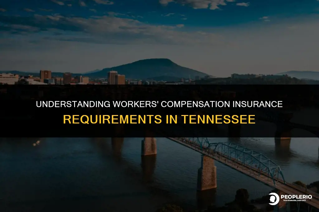 how many workers for workers compensation insurance tennessee