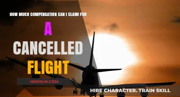 Navigating Flight Cancellations: Your Guide to Compensation Claims