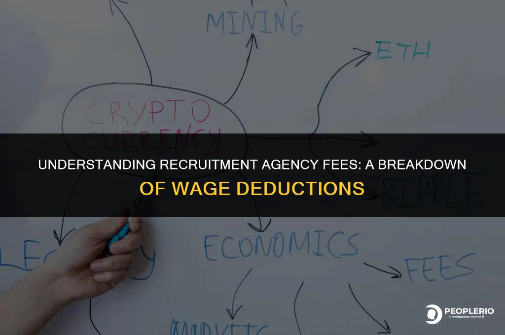 how much do recruitment agencies take from wages