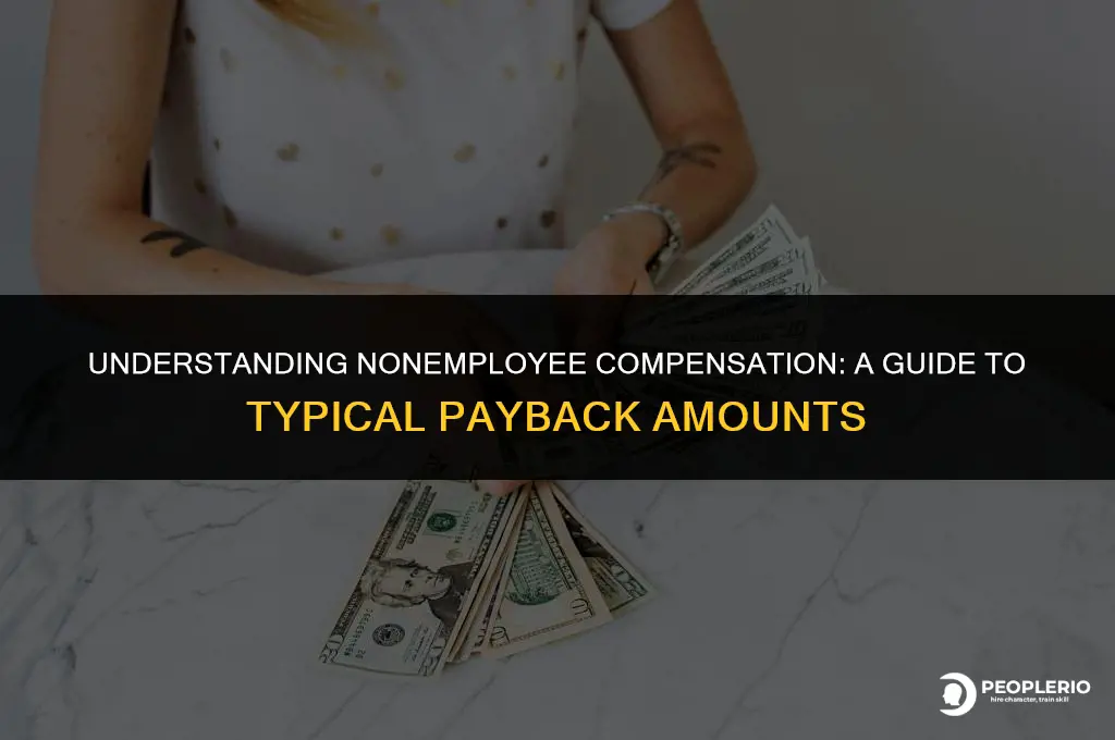 how much do you typically pay back in nonemployee compensation