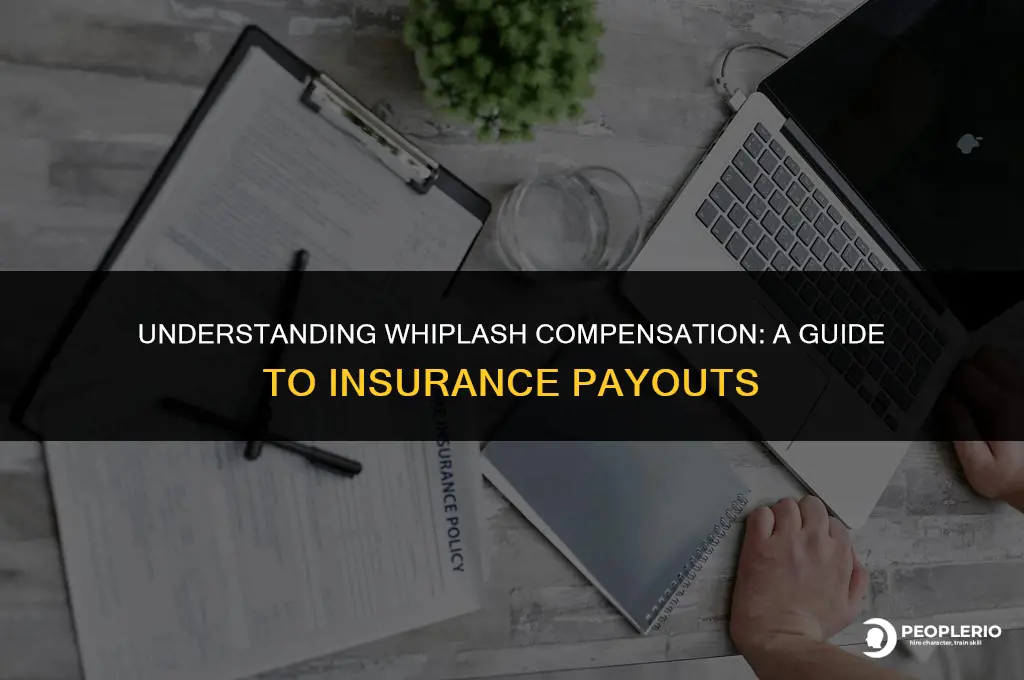 how much does an insurance company compensate you for whiplash