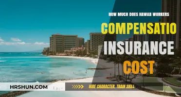 Understanding Hawaii Workers' Compensation Insurance Costs