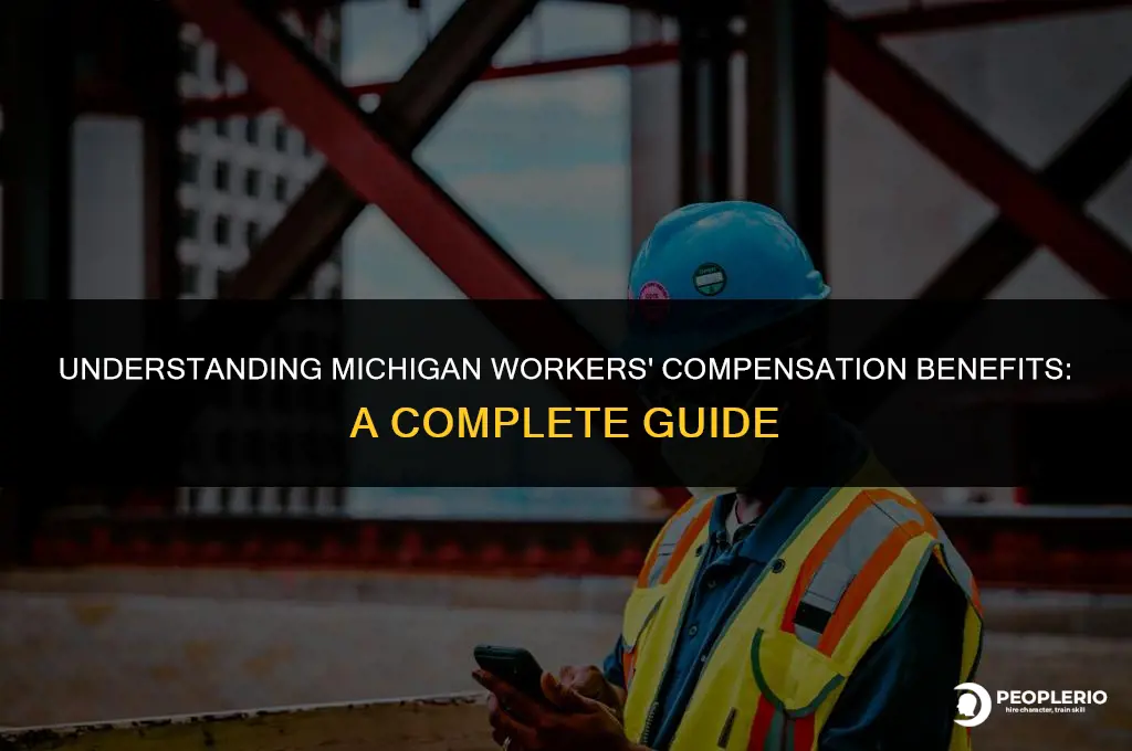 how much does michigan workers compensation pay